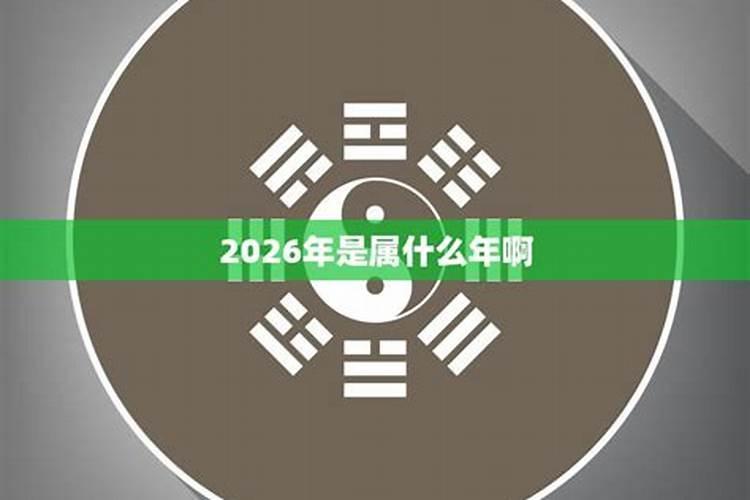 2026年是属什么年份