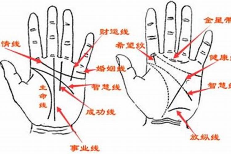 看手相怎么看运势准不准