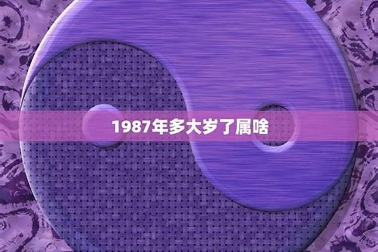 1987年属什么生肖今年多大了