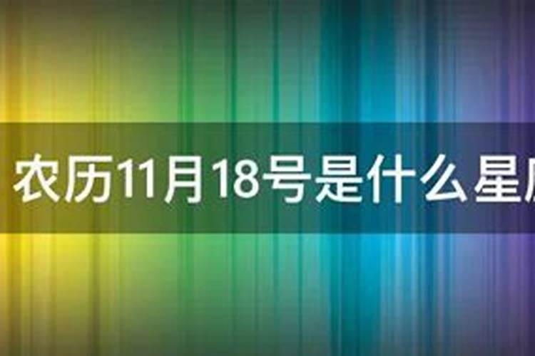 00年阴历11月18是什么星座