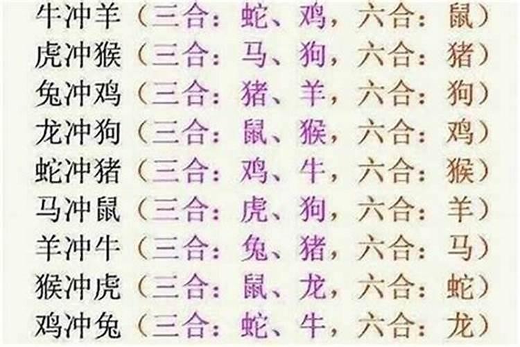 生肖11是什么生肖