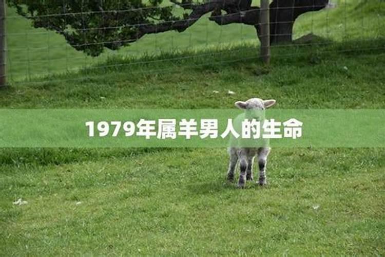 1979属羊男一生运程