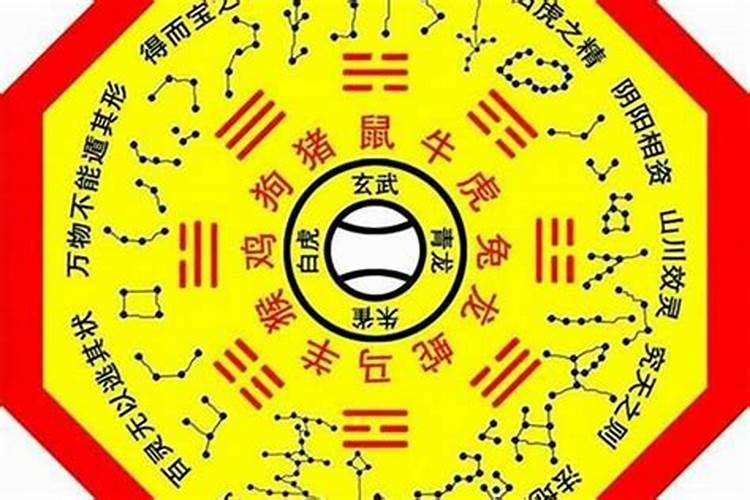 八字算命命主星是什么