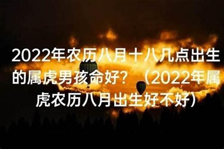 属虎8月初八生一生的运程