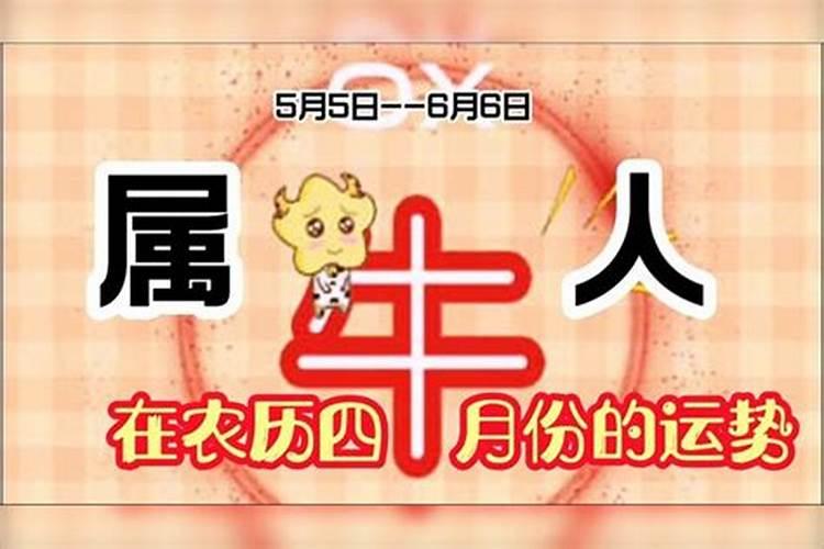 属牛的4月生运势如何