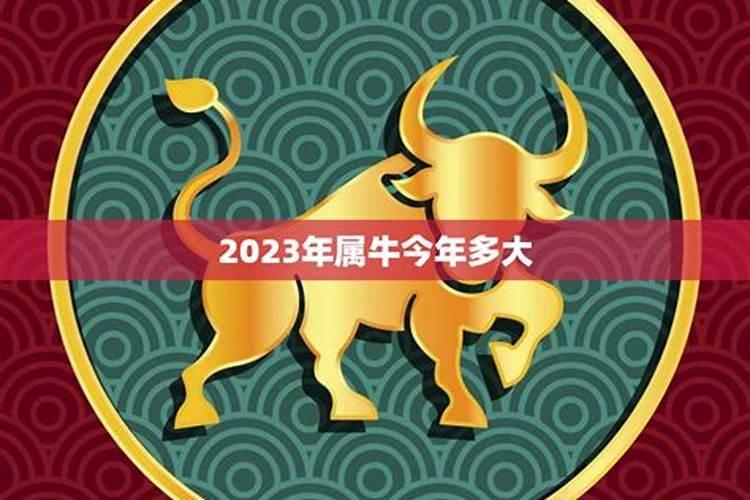 90后属牛的今年多少岁