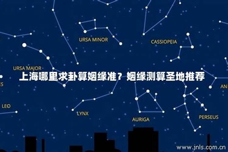 320是什么星座