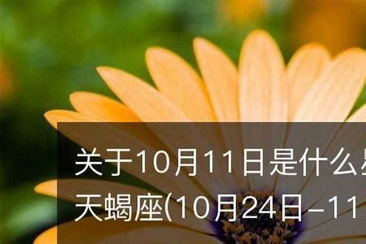 11月15日出生的人是什么星座