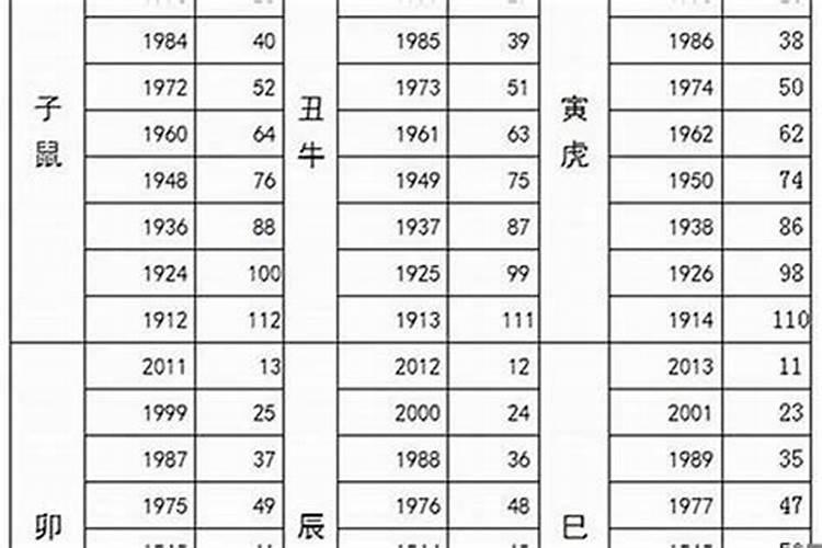 属猪34岁是几年的