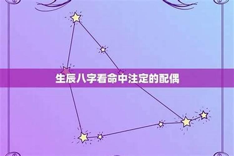 八字命盘哪里看婚姻宫