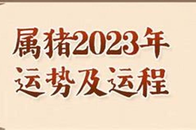 属猪2023年