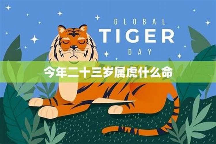 属猪今年农历10月运势如何