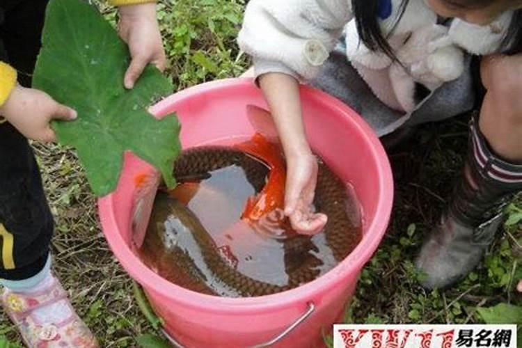 10月24日什么星座女