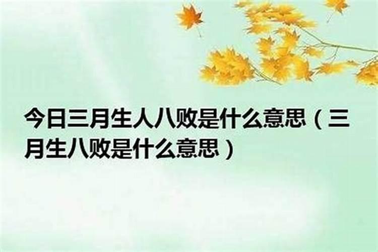 梦见在学校打架打赢了