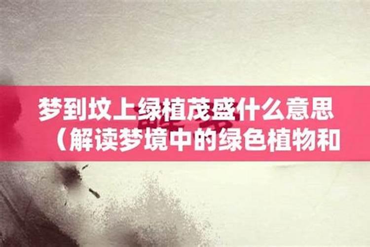 梦见活着的妈妈死了又活过来了