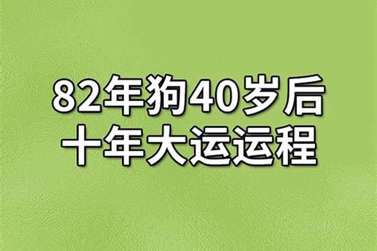 1980年三月的猴命运