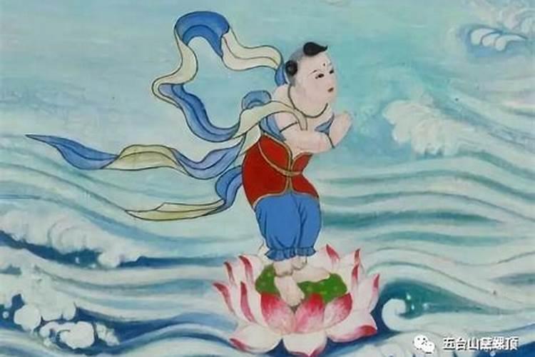 12生肖种什么花