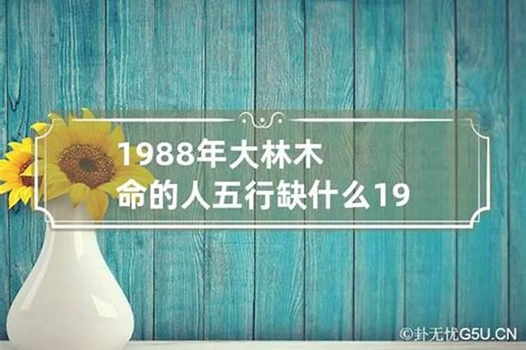 88年大林木命五行属什么