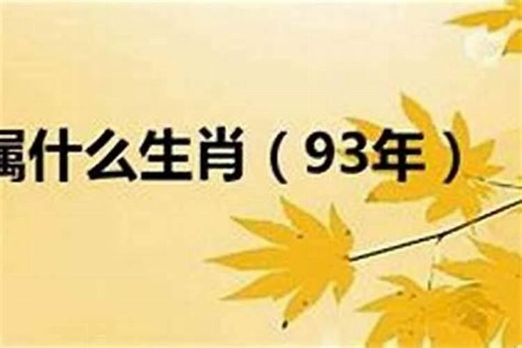 93年是属什么的属相