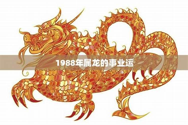 88年属龙人今年事业运势