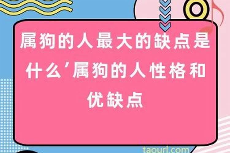 属狗的人有什么缺点