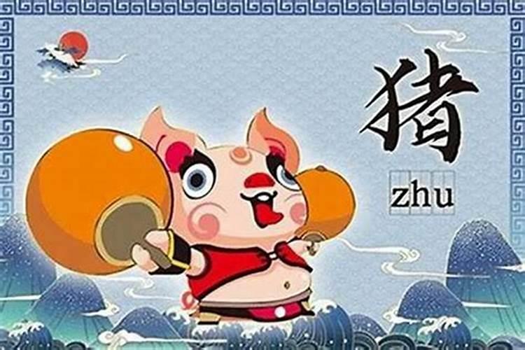 猪年冲太岁家里摆什么好