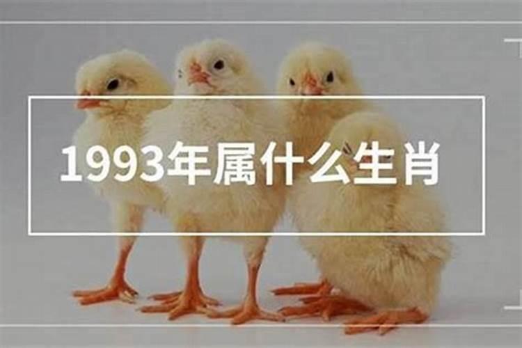 59岁属什么今年多少岁