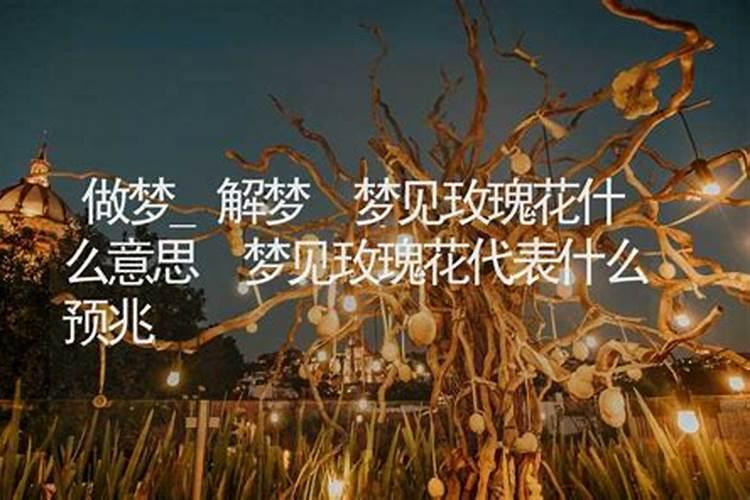 梦见玫瑰花树是什么意思