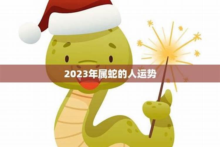 今年蛇年的运势如何