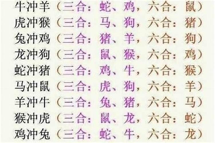 属狗的和属蛇的八字合不合