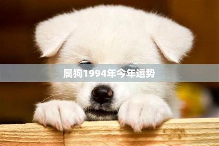 76年出生的狗年运势