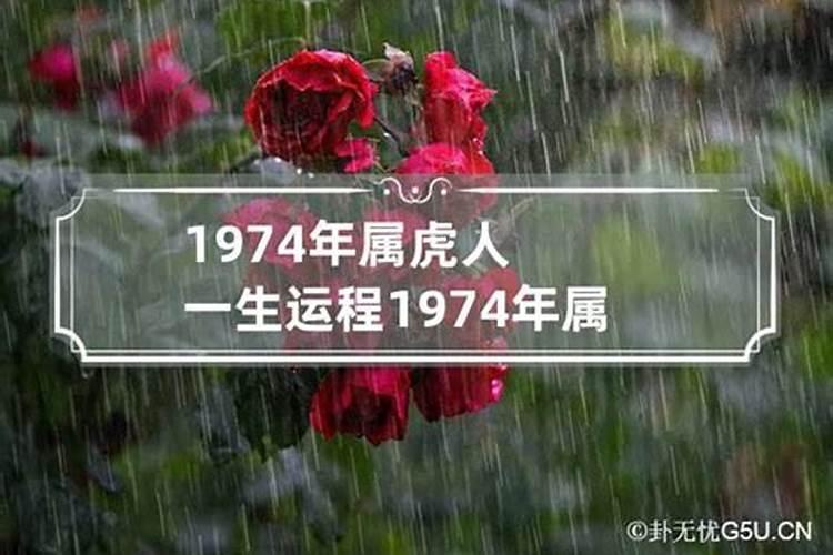 1974年出生的一生运势