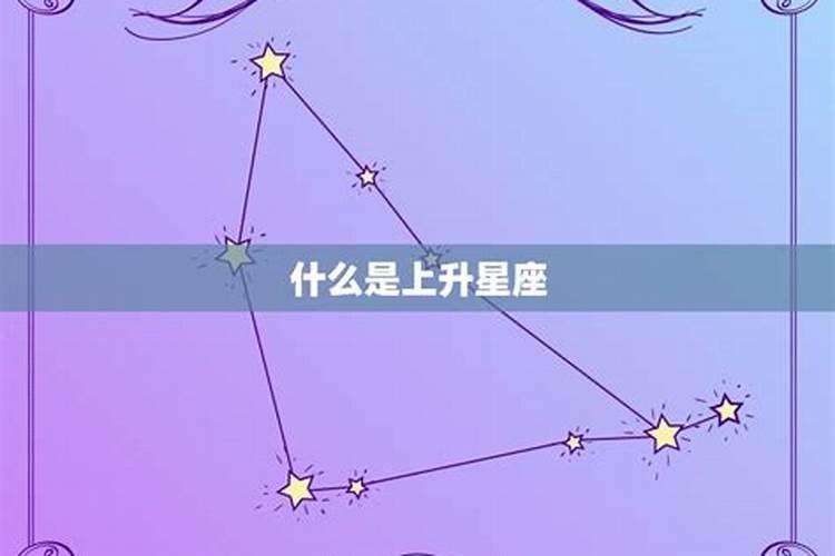 95后属于什么星座的人