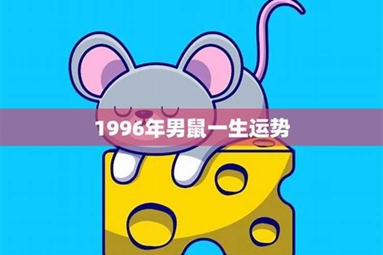 91年羊2023年的运势