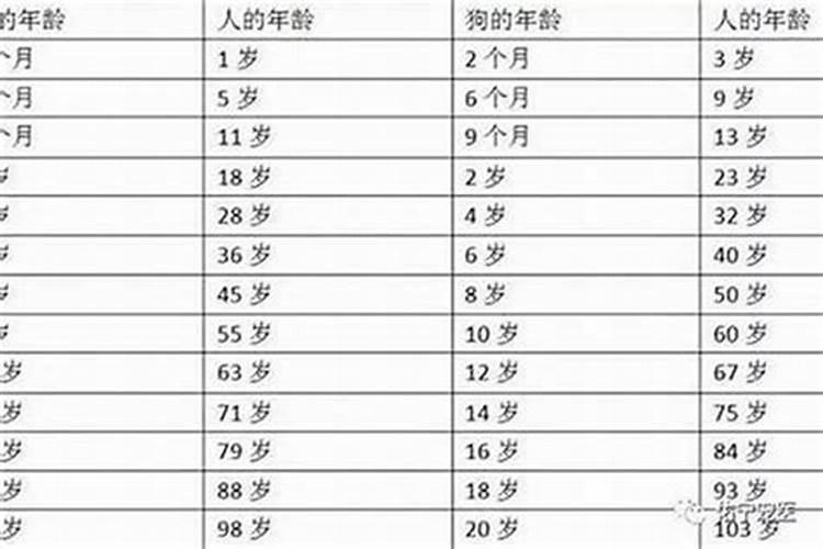 本命年几岁了