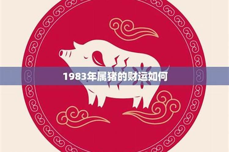 1983年属猪未时运势如何