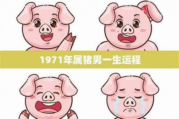 1971年属猪一生的命运