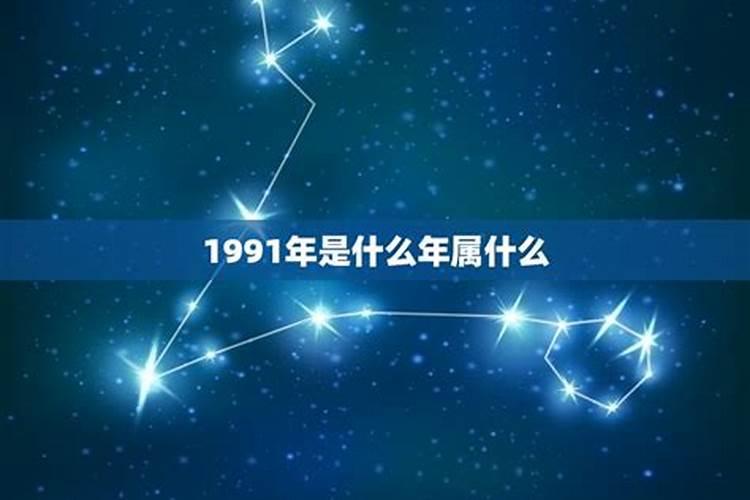 1991年属什么星座？