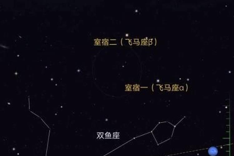 11月118日是什么星座