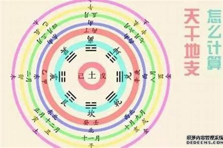 大运壬辰是什么意思