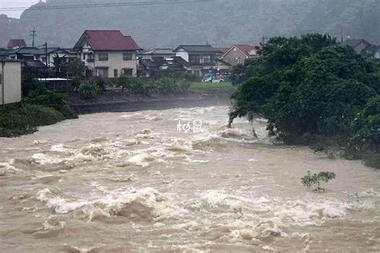 胎梦梦见涨洪水