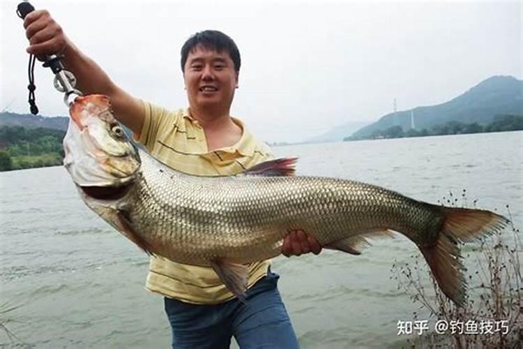 重阳节钓鱼钓哪些鱼最好