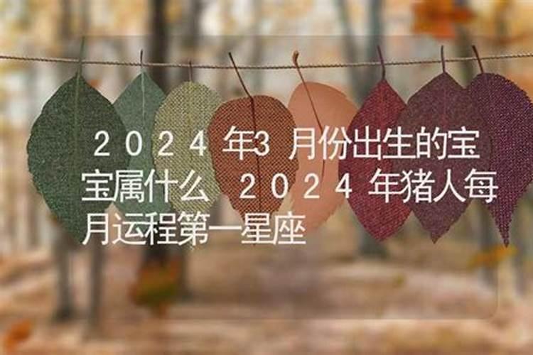 2024年出生的宝宝属什么