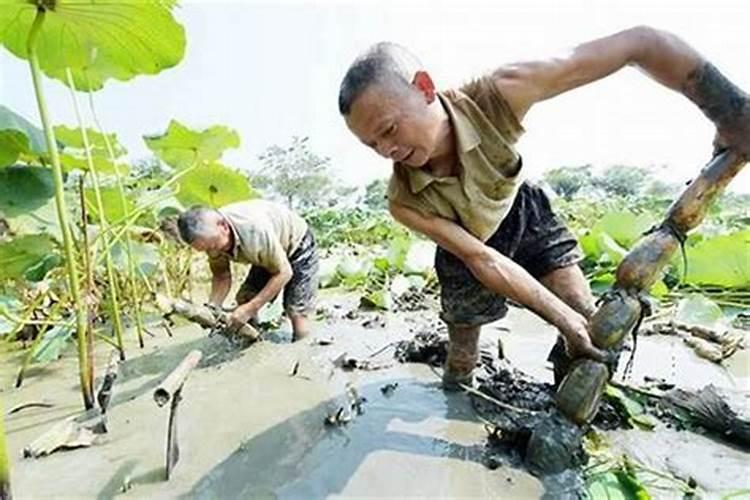 梦见陌生的男人和女人在一起