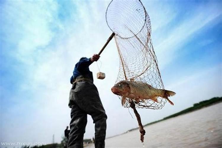 梦见捞了很多小鱼也有死鱼