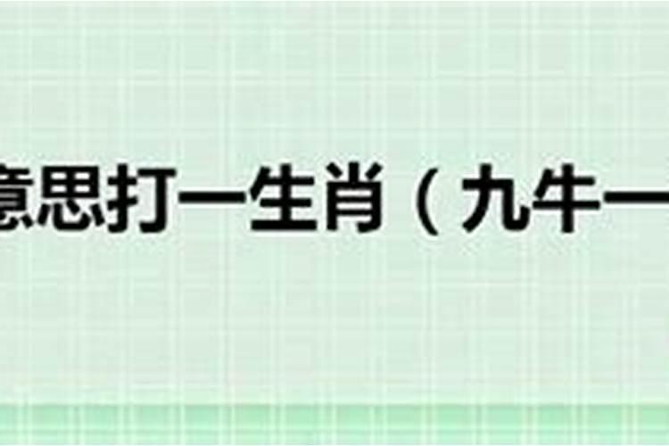 九牛一毛猜数字和生肖