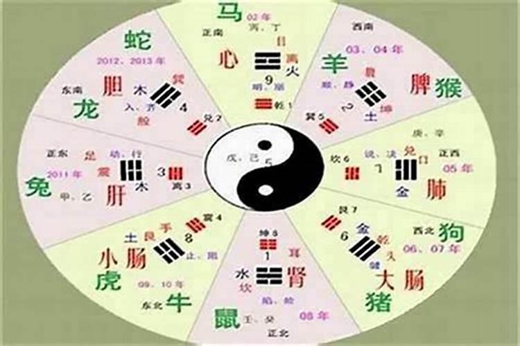 2006年生的孩子五行是属什么命运