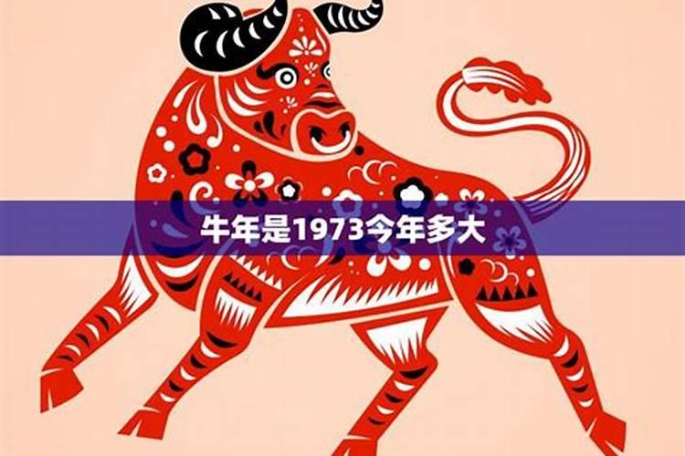 73年属牛的今年多大年龄