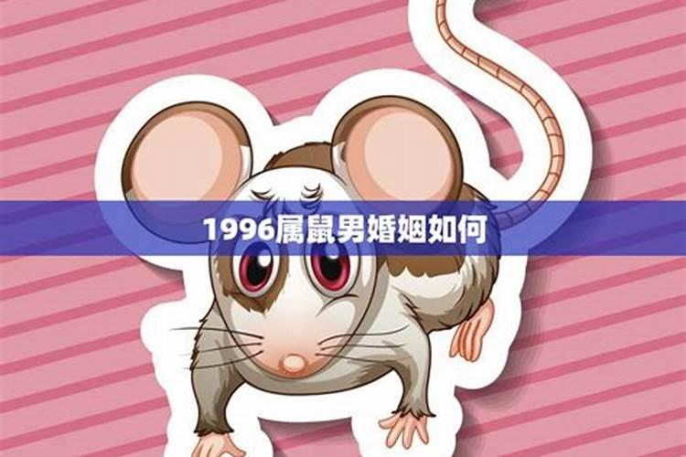 1996属鼠男生的命运