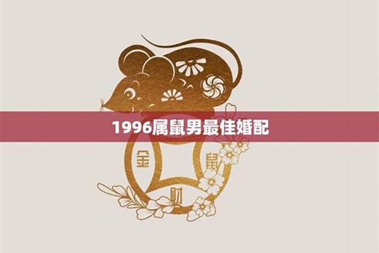 1996属鼠男生的命运